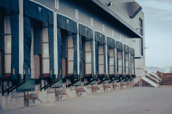 Image for the course: Safe, Smart, and Strong